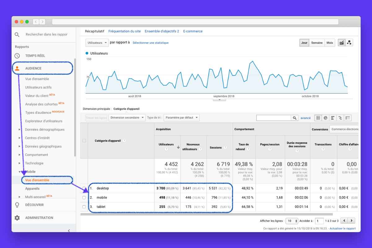 Google Analytics Audience