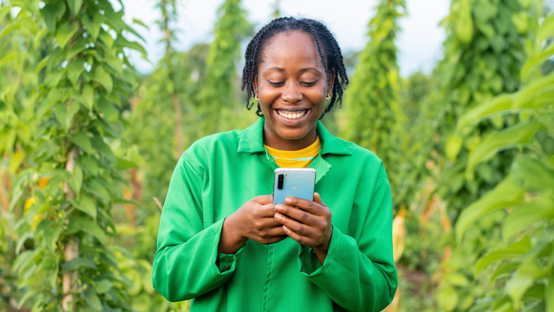 Skyline Partners, une solution paramétrique pour les agriculteurs jamaïcains
